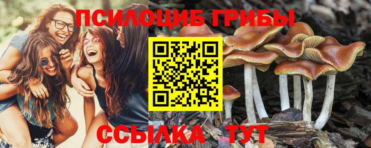 Галлюциногенные грибы мицелий Будённовск