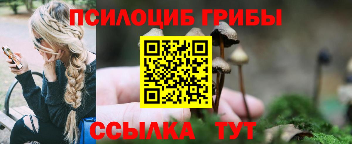 Будённовск  дарнет шоп  Вход с VPN  Галлюциногенные грибы Magic Shrooms 